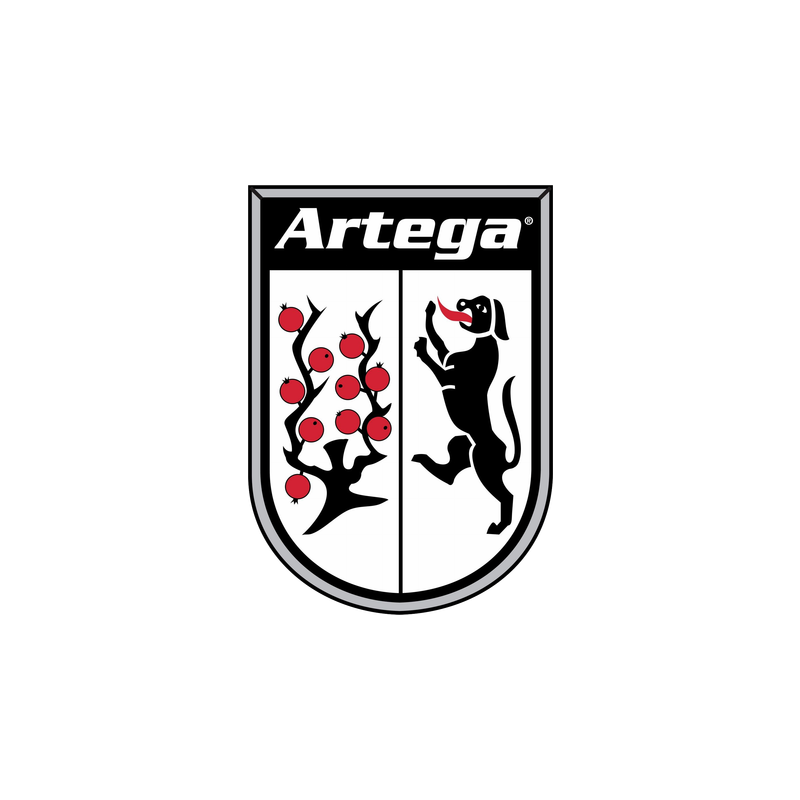 ARTEGA Car Parts
