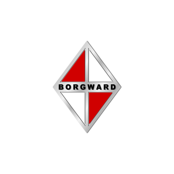 BORGWARD Car Parts