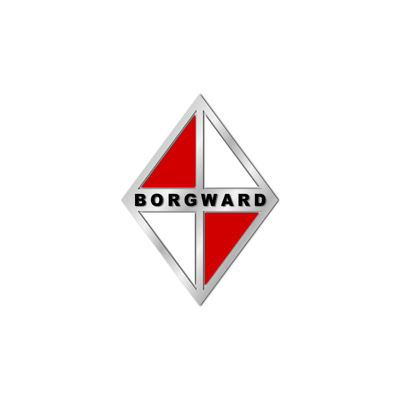 BORGWARD Car Parts