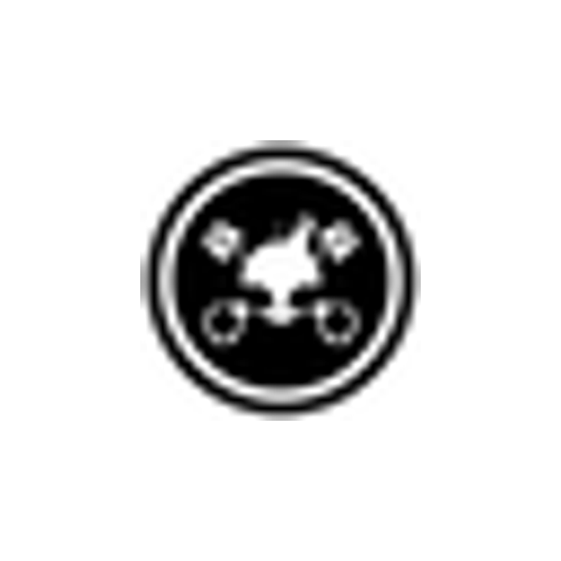 CHEMICAL GUYS official brand logo