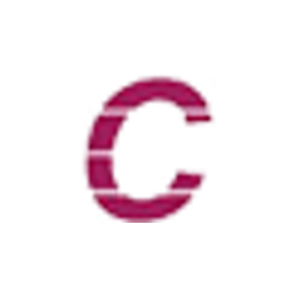COOLZONE official brand logo