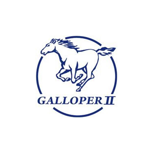 GALLOPER Car Parts
