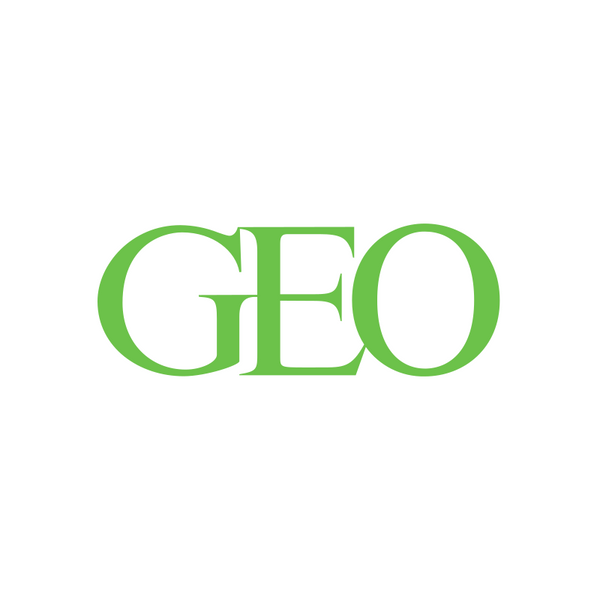 GEO Car Parts