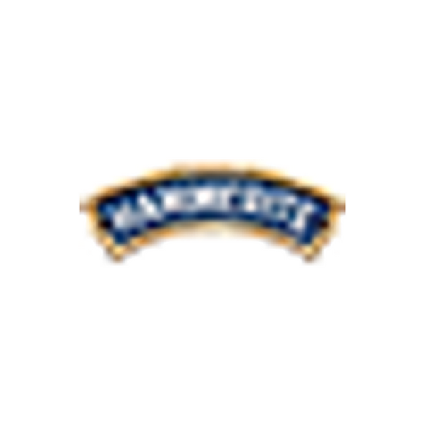 HAMMERITE brand logo