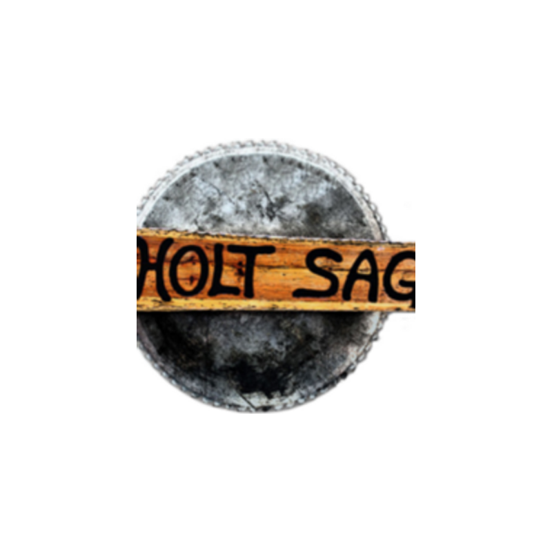 HOLTS official brand logo
