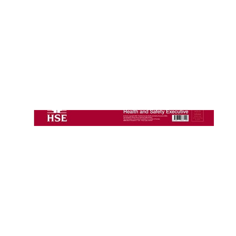 HSE official brand logo