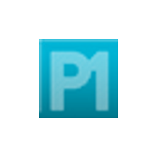 P1 AUTOCARE official brand logo