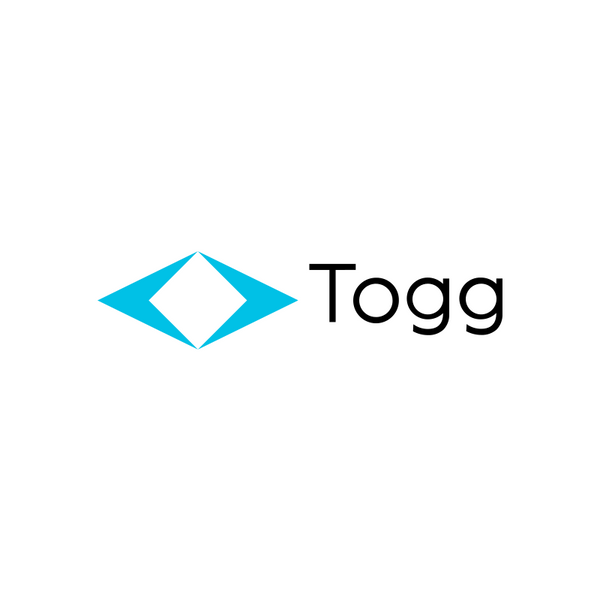 TOGG Car Parts