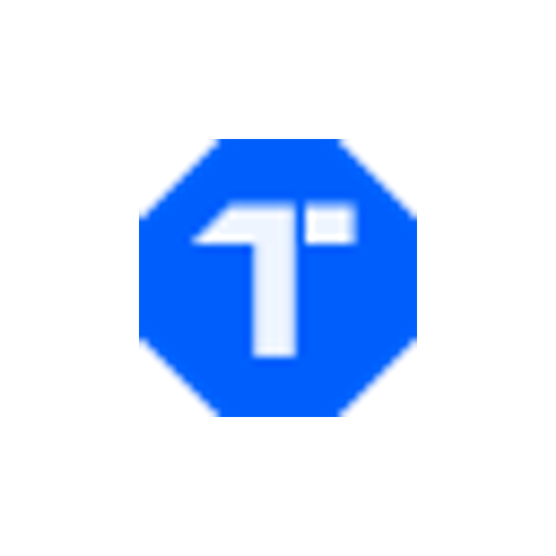 TOPDON official brand logo