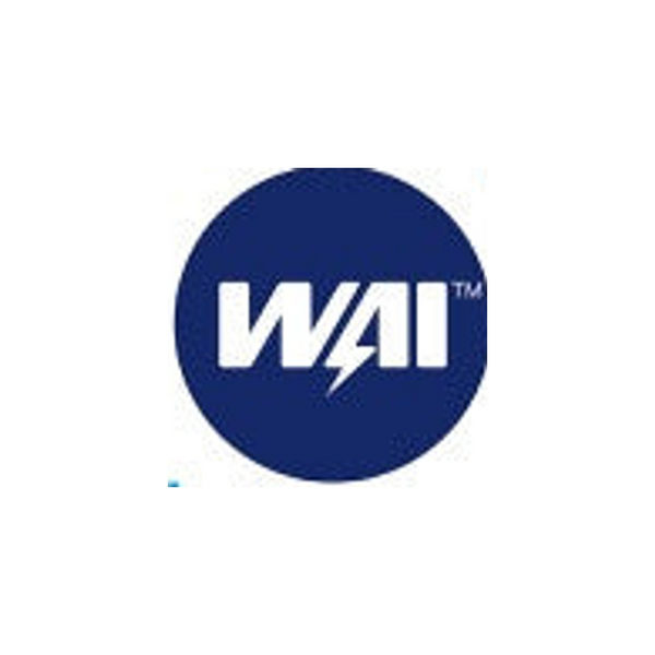 WAI official brand logo