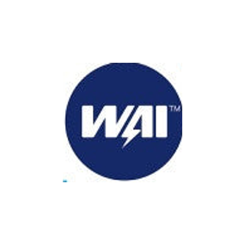 WAI official brand logo