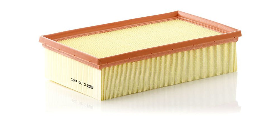 Air Filter - C 30 005