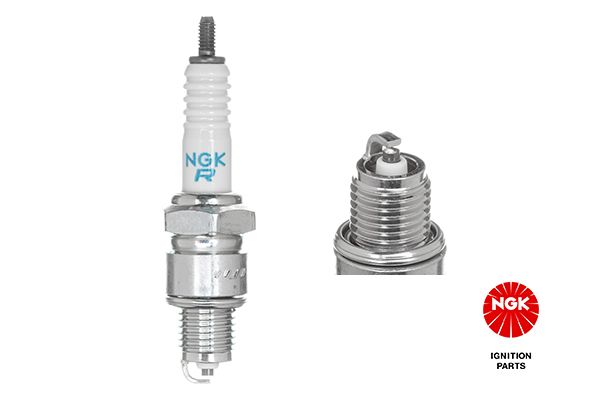 Spark Plug - 4623