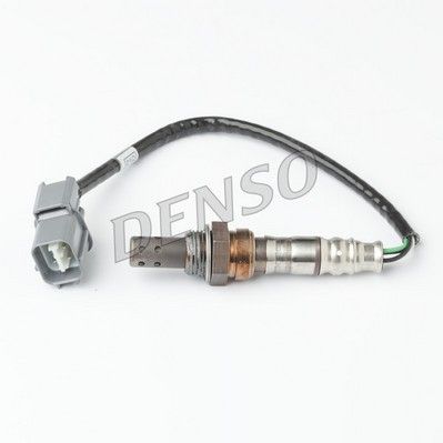 Oxygen Sensor - DOX-1461