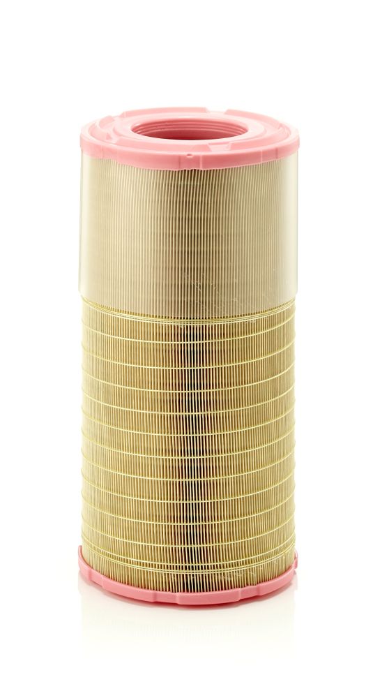 Air Filter - C 21 630/3