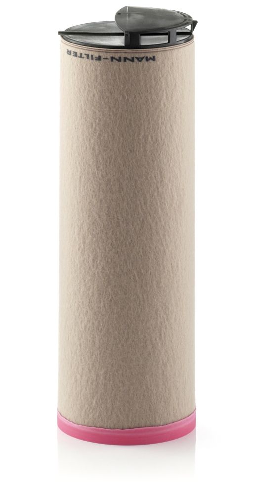 Secondary Air Filter - CF 810