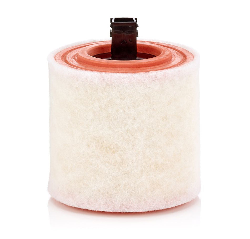 Air Filter - C 16 012
