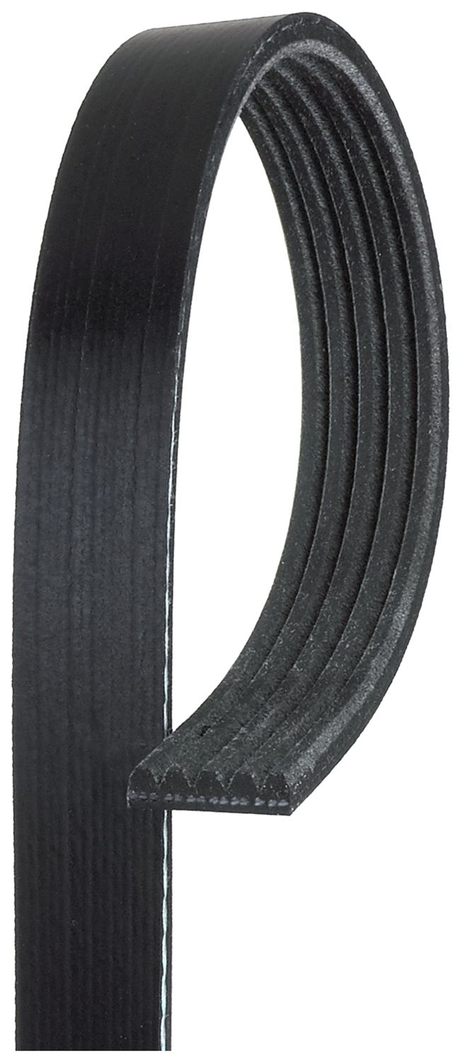 V-ribbed Belt - 5PK913