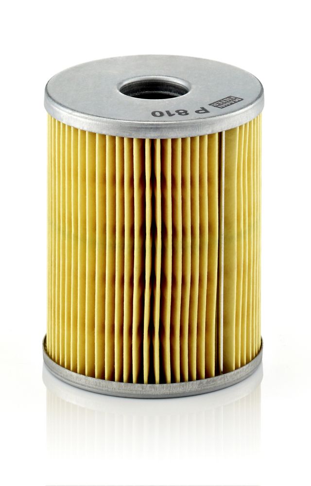 Fuel Filter - P 810 x