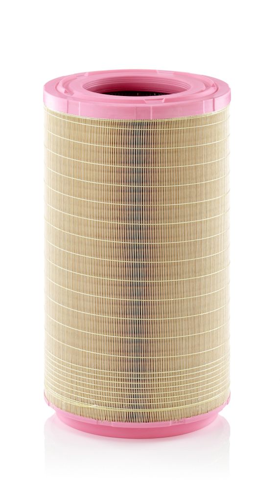 Air Filter - C 31 1495