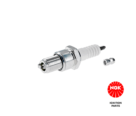 Spark Plug - 3830
