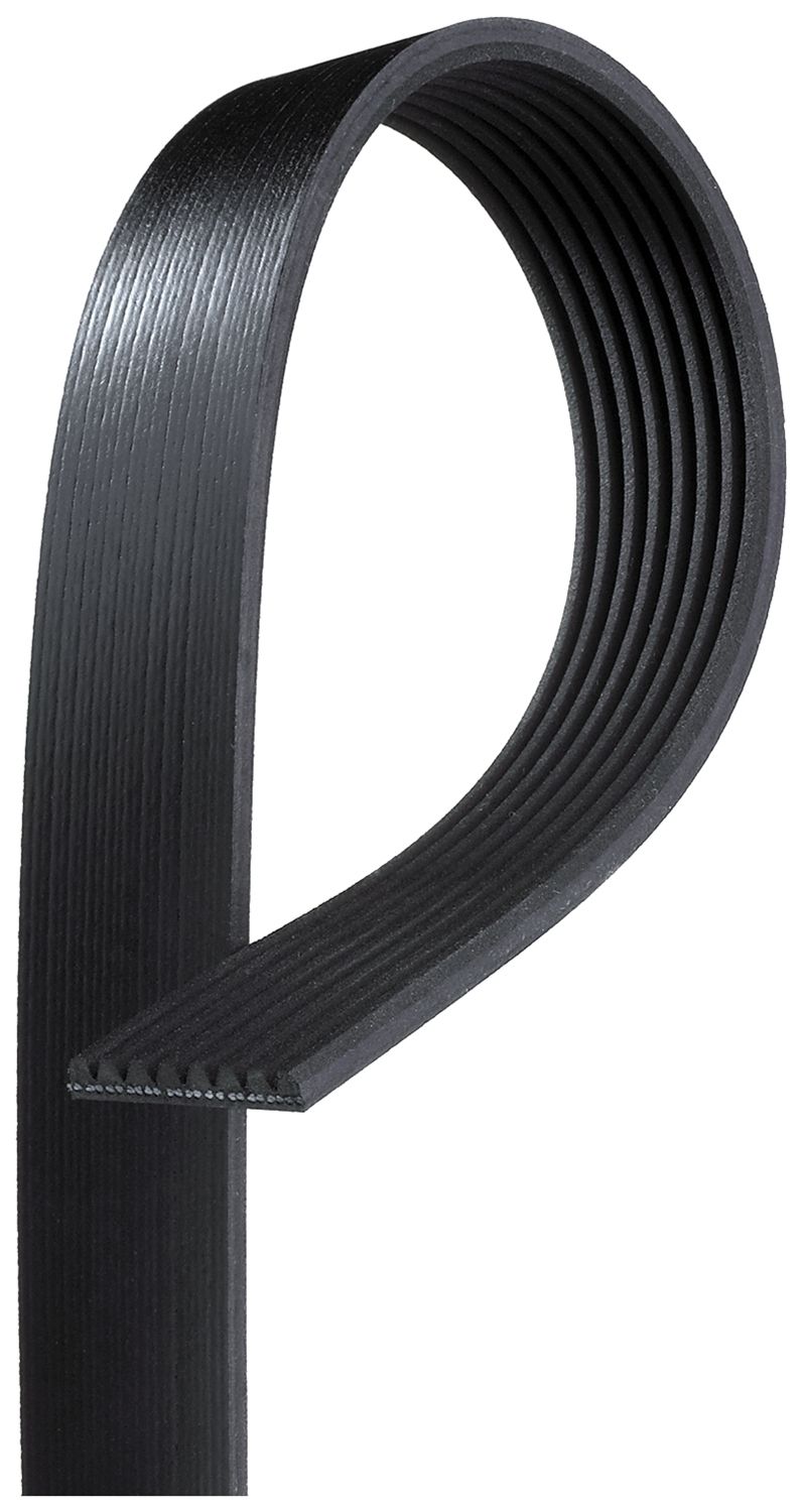 V-ribbed Belt - 8PK1413HD