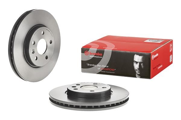 Brake Disc - 09.D391.11