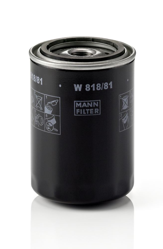 Oil Filter - W 818/81
