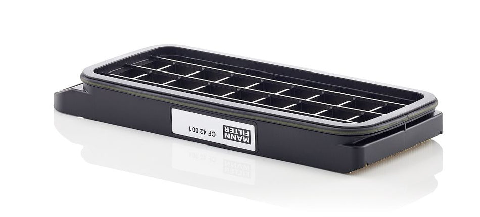 Secondary Air Filter - CF 42 001