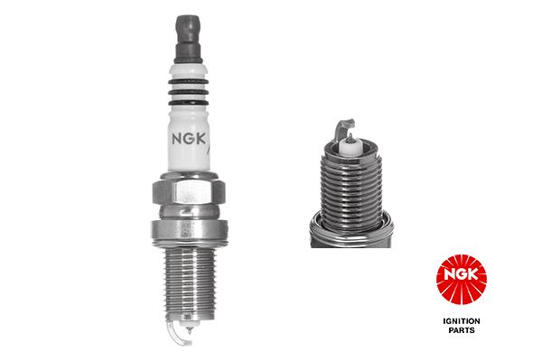 Spark Plug - 5689