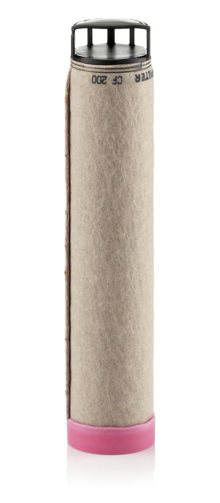 Secondary Air Filter - CF 200