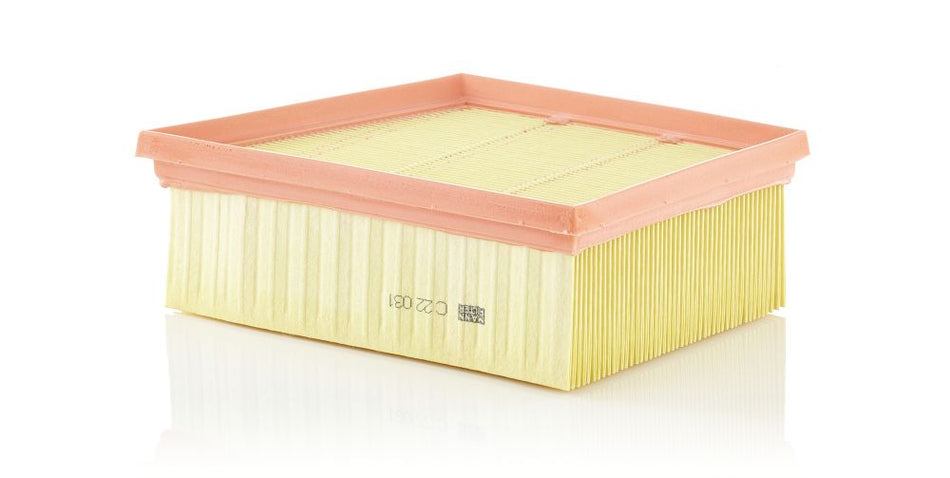 Air Filter - C 22 031