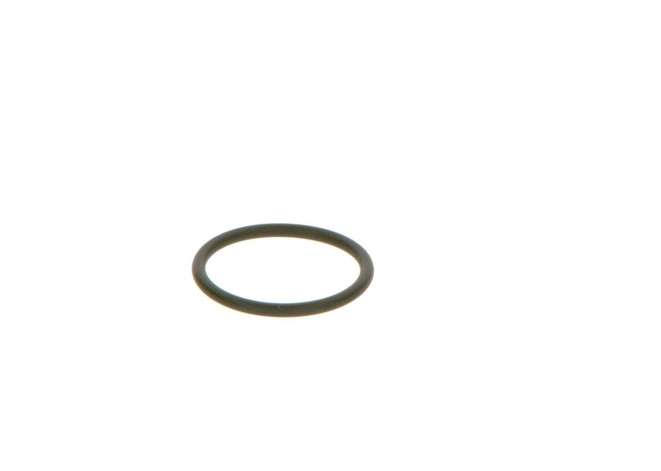 Rubber Ring - F 00V C38 042