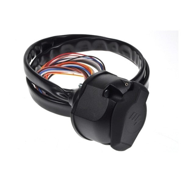 Pre-Wired Socket - 2m Of Sheathed Cables & Gasket - 13-Pin
