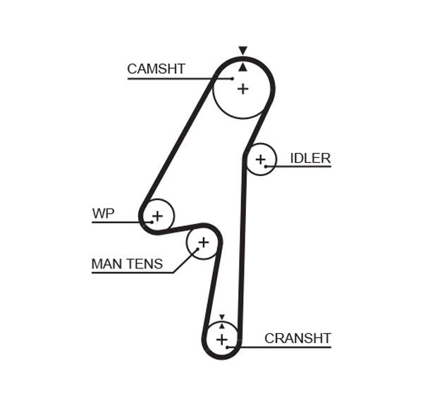 Timing Belt - 5580XS