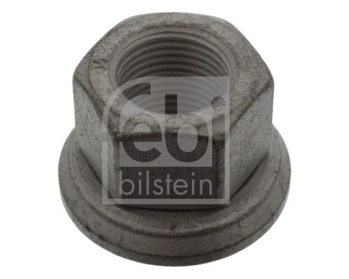 Wheel Nut - 45019