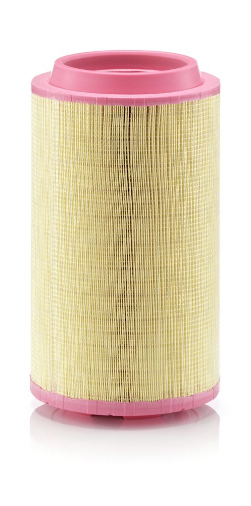 Air Filter - C 24 745/3