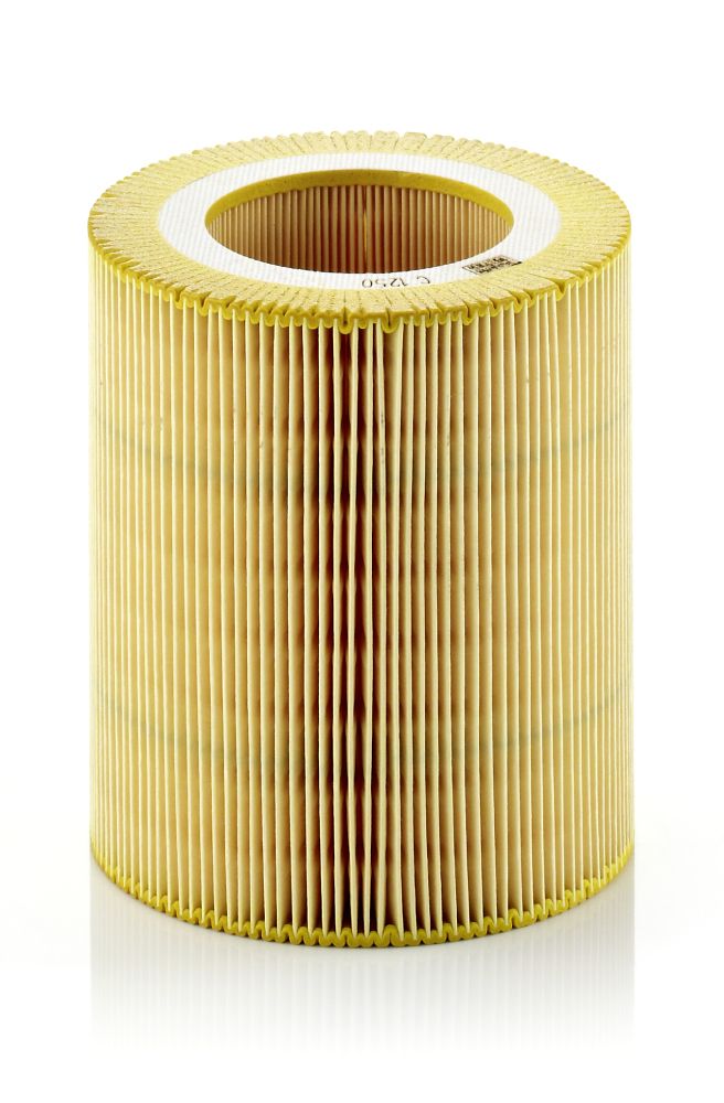 Air Filter - C 1250