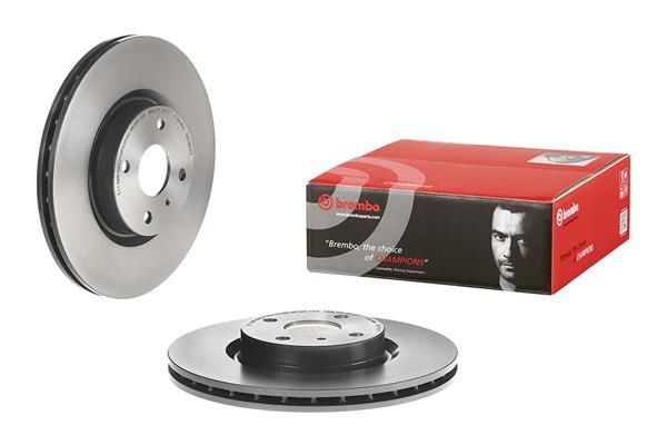 Brake Disc - 09.C391.21