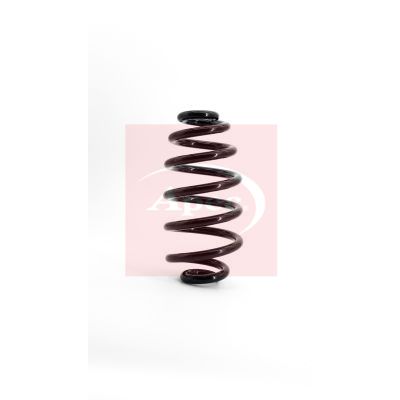 Apec ACS1131 Suspension Spring - 1