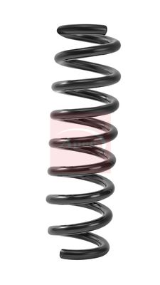 Apec ACS2496 Suspension Spring - 1