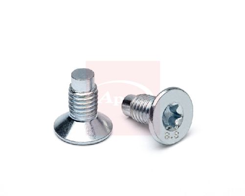 Apec ADS4 Bolt, brake disc - 1