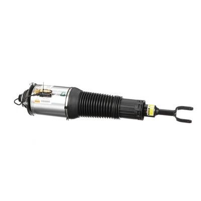 Arnott AS-2892 Air Suspension Strut - 6