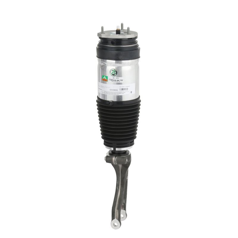 Arnott AS-3751 Air Suspension Strut - 6