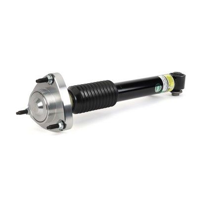 Arnott SK-3607 Shock Absorber - 1