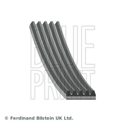 Blue Print AD05R836 V-ribbed Belt - 1