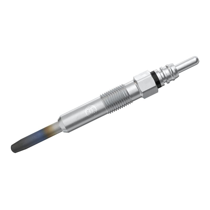 Bosch 0250202022 Glow Plug - 2