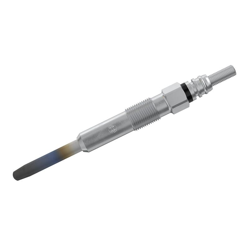Bosch 0250202030 Glow Plug - 1