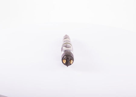 Bosch 0445120219 Injector Nozzle - 1