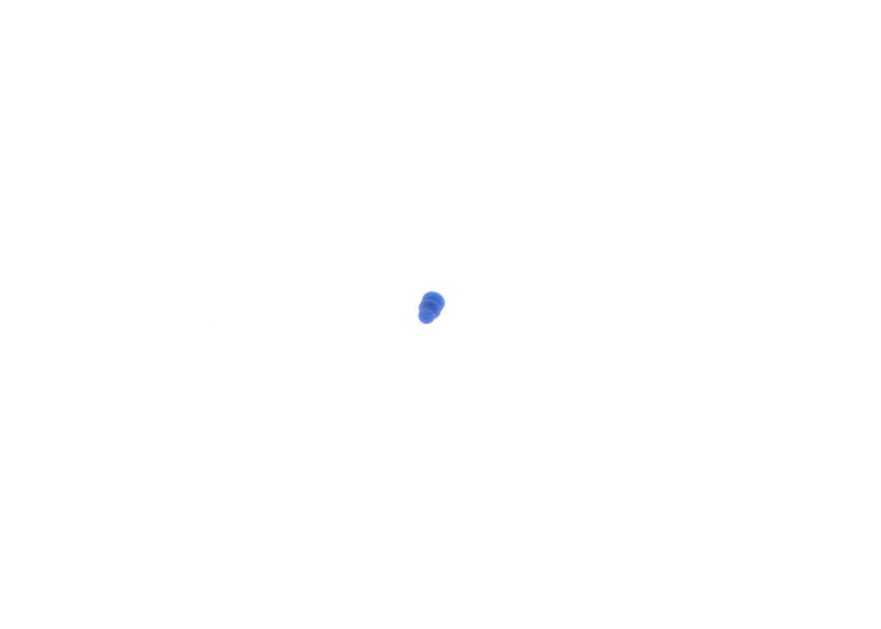 Bosch 1928300599 Seal - 5